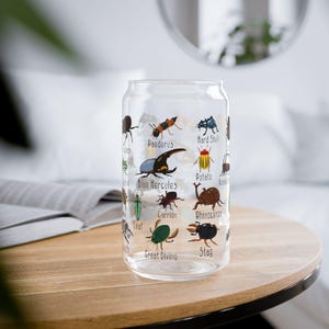 K&ouml;nnte beinhalten: Ein klares, becherf&ouml;rmiges Trinkglas mit farbenfrohen Illustrationen verschiedener Insekten, darunter ein blauer Herkulesk&auml;fer und ein Hirschk&auml;fer. Die Namen der Insekten sind unter jeder Illustration aufgedruckt. Das Glas steht auf einem Holztisch.