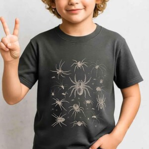 May include: A dark grey short-sleeved t-shirt featuring a detailed, light-coloured graphic print of various spider species arranged in a collection. The design showcases multiple arachnids of different sizes and shapes centred on the chest area.