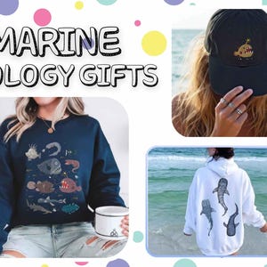 May include: A collection of apparel featuring marine biology themes, including a dark blue sweatshirt with various deep-sea fish illustrations, a black baseball cap with an anglerfish graphic, and a white hoodie with three whale shark prints.
