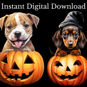 May include: Two puppies, a brown and white bulldog and a brown dachshund wearing a witch's hat, are peeking out of jack-o'-lantern pumpkins. The pumpkins have carved faces and are orange.