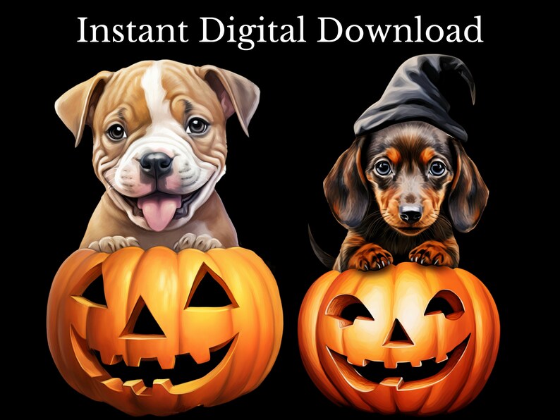 May include: Two puppies, a brown and white bulldog and a brown dachshund wearing a witch's hat, are peeking out of jack-o'-lantern pumpkins. The pumpkins have carved faces and are orange.