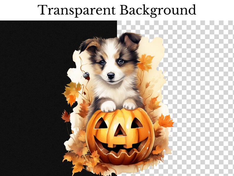 May include: A cute puppy wearing a brown and white coat sits inside a carved orange pumpkin with a jack-o'-lantern face. The puppy is surrounded by autumn leaves in shades of orange, yellow, and brown.