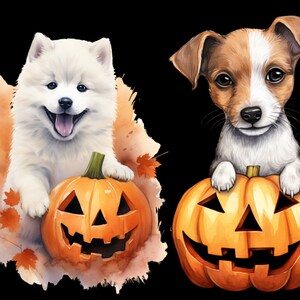 May include: Two adorable puppies, one white and one brown and white, are holding jack-o'-lantern pumpkins. The pumpkins have carved smiling faces. The background is a watercolor wash of orange and brown.