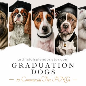 Paquete de imágenes prediseñadas de perro de graduación, arte de acuarela, PNG animal humano, graduado de escuela secundaria digital Labrador vestido como persona canina realista