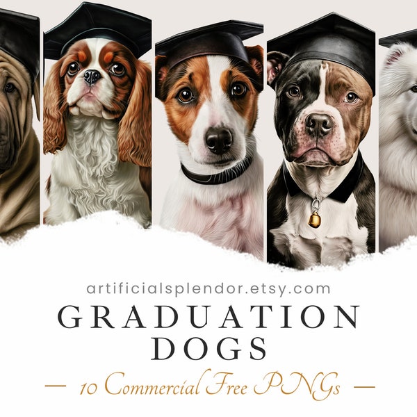 Graduation Dog Clipart Bundle, Watercolor Art, Human Animal PNG, Digital High School Graduate Labrador Dressed as Person Realistic Canine