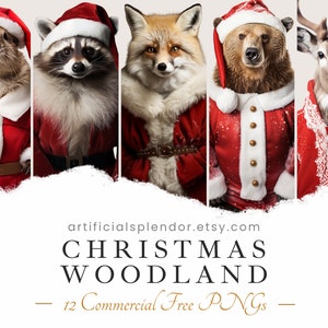 Bundle de cliparts animaux des bois Noël aquarelle forêt du père Noël art animalier PNG vacances raton laveur déguisé en personne bonnet de Noel animal réaliste