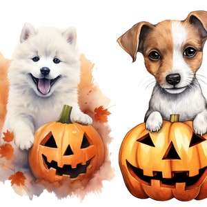 May include: Two adorable puppies, one white and one brown and white, are holding jack-o'-lantern pumpkins. The pumpkins have carved faces with triangular eyes and a wide smile. The background is a watercolor wash of orange and brown.