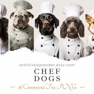 Chef Hund Clipart Bundle, Bäcker Hund Kunst, Mensch Tier PNG, Digital Canine gekleidet als Person Realistischer Hund Trägt einen Kochmütze, Restaurant Hund