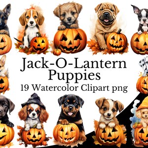 May include: 19 watercolor clipart images of puppies dressed up as jack-o-lanterns. The puppies are in various poses and have different breeds. The jack-o-lanterns are all carved with a smiling face.