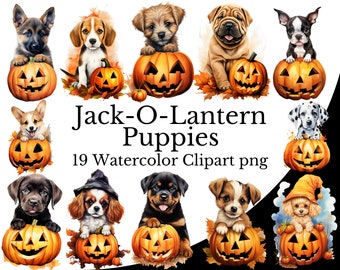Jack-O-Lantern Puppies Clipart Bundle, Dog Watercolor Art, Halloween Animal PNG, Digital Canine in Pumpkin, Cute Autumn Fall Puppy Art