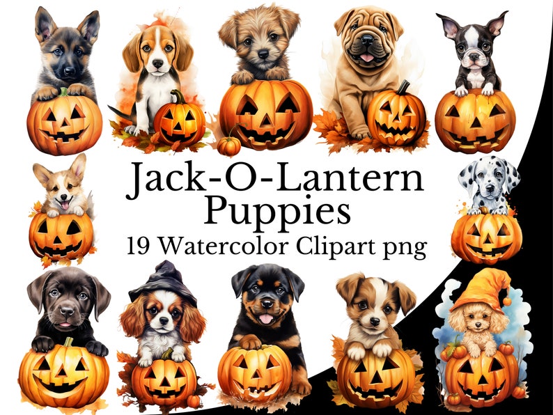 May include: 19 watercolor clipart images of puppies dressed up as jack-o-lanterns. The puppies are in various poses and have different breeds. The jack-o-lanterns are all carved with a smiling face.