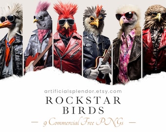 Paquete de imágenes prediseñadas de pájaros estrella de rock: PNG de animales punk rock (descarga digital)