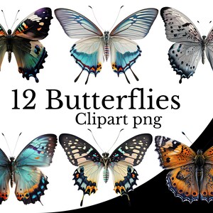 Schmetterling Clipart Bundle, Aquarell Kunst, Insekt Natur PNG Digital Schmetterling PNG Realistische Schmetterlinge Kunst Exotische Käfer Kostenlose kommerzielle Nutzung