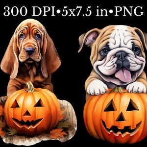May include: Two dogs, a brown and white bulldog and a brown bloodhound, are holding jack-o'-lantern pumpkins. The pumpkins have carved faces with triangular eyes, a wide smile, and a small triangular nose.