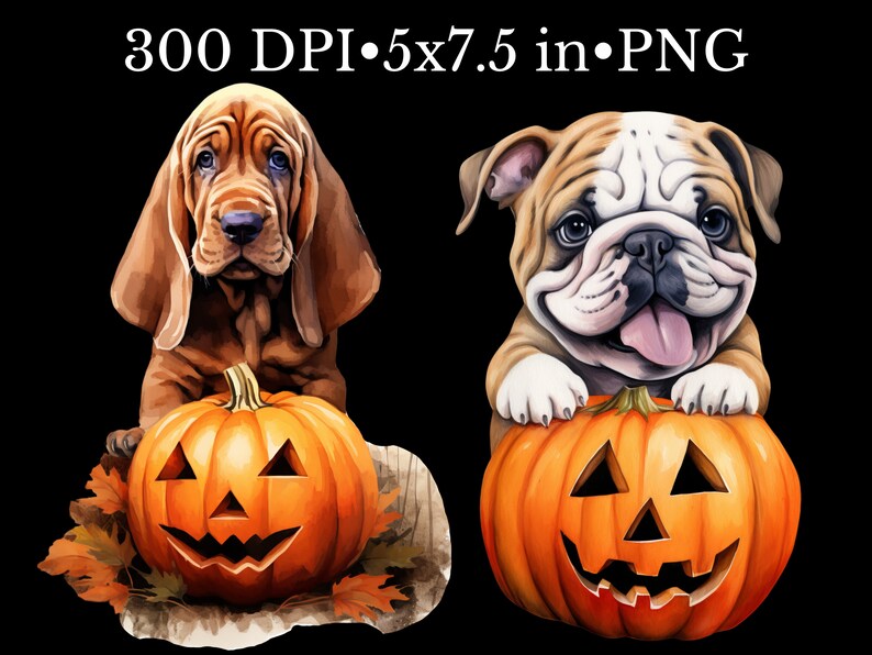 May include: Two dogs, a brown and white bulldog and a brown bloodhound, are holding jack-o'-lantern pumpkins. The pumpkins have carved faces with triangular eyes, a wide smile, and a small triangular nose.
