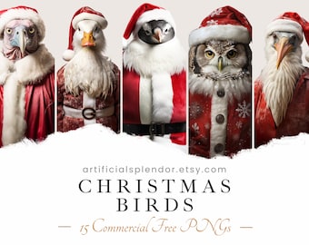 Pakiet clipartów świątecznych ptaków akwarela sztuka zwierząt bezpłatne wykorzystanie komercyjne zabawne zwierzę PNG świąteczny cyfrowy ptak przebrany za Świętego Mikołaja sowa kurczak