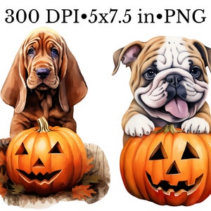 May include: Two dogs, a brown and white bulldog and a brown bloodhound, are holding jack-o'-lantern pumpkins. The pumpkins have carved faces with triangular eyes, a wide smile, and a triangular nose.