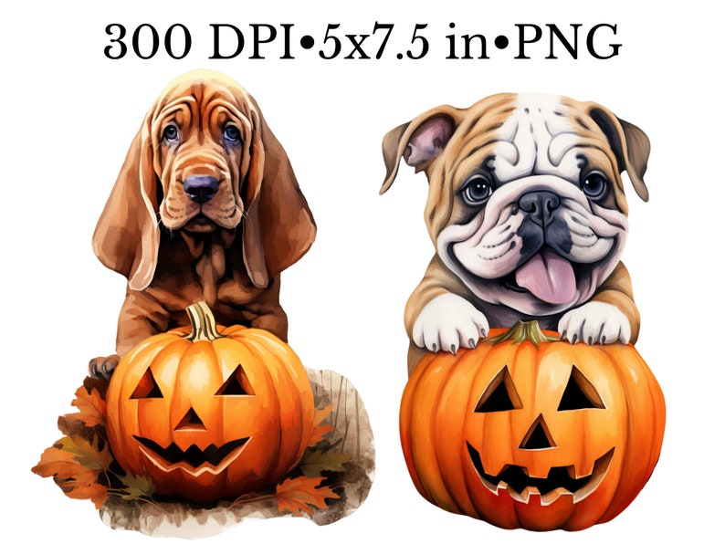 May include: Two dogs, a brown and white bulldog and a brown bloodhound, are holding jack-o'-lantern pumpkins. The pumpkins have carved faces with triangular eyes, a wide smile, and a triangular nose.