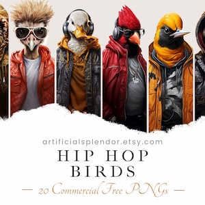 Pacote de clipart de pássaros de hip hop, arte cardeal de rapper, PNG de animal humano, águia musical de pássaros digital vestida como pessoa aviária realista, arte urbana
