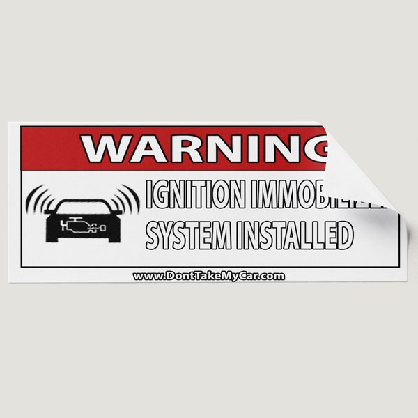 Kia / Hyundai Anti Theft Car Sticker Ignition Immobilizer Theft Prevention - Classic
