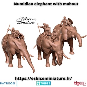 Numidian Elephants With Mahouts | Eskice Miniature | Miniature | Wargaming | 28mm | Numidian Riders