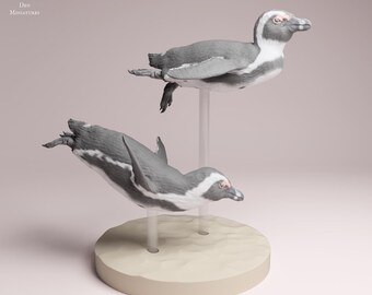 Pingüinos africanos nadando / Escala 1/16 / Miniaturas de Animal Den / Exhibición