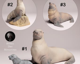 Lobo marino del Cabo / Macho / Hembra en roca / Hembra y cría / Escala 1/24 / Miniaturas de guarida de animales / Exhibición
