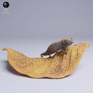 Nosy Hara Leaf Chameleon (brookesia Micra) | Animal Den Miniatures