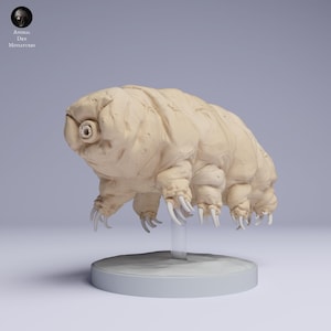 Tardigrade - Niedźwiedź Wodny | Skala 100:1 | Miniatury Animal Den