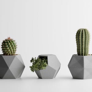Plant Pot GeoTrio