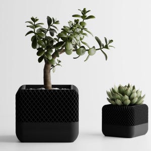 May include: Two black planter pots with a geometric pattern. The larger pot has a small green plant with a brown stem. The smaller pot has a green succulent plant.