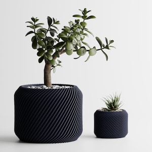 May include: Two potted plants in dark blue planters with a swirling pattern. The larger plant has green leaves and a brown stem. The smaller plant has green leaves and a light brown stem.