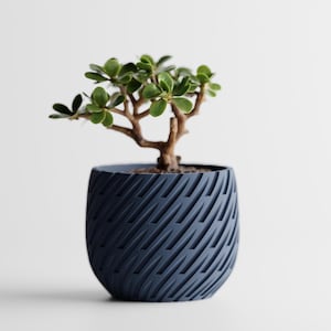 May include: A small jade plant in a navy blue, textured ceramic pot. The pot has a repeating diagonal pattern. The plant has small, round, green leaves and a brown trunk. The plant is a houseplant.
