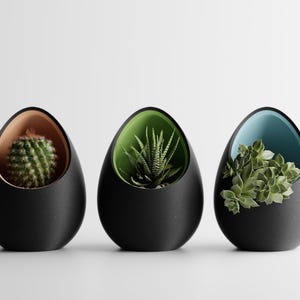 May include: Three black egg-shaped planters with different colored interiors, each containing a different type of succulent plant.