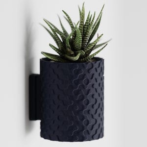 May include: A dark blue wall-mounted planter with a textured surface holds a small green succulent plant.