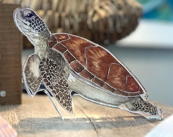 Sea Turtle Acrylic Art Block | Watercolor Shelf Display | Coastal Home Decor