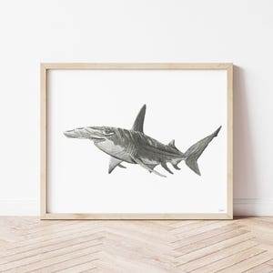 Hammerhead Shark Watercolor Wall Art