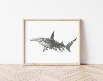 Hammerhead Shark Watercolor Wall Art