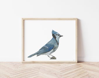 ブルージェイの水彩画プリント - 飛ぶ青い鳥の絵 - 自然の装飾 - Etsy 日本