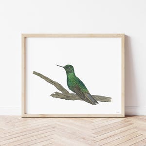 Hummingbird Watercolor Wall Art