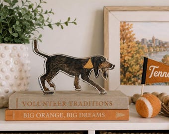 Bluetick Coonhound Acrylic Art Block | Southern Game Day Decor | Football Fan Gift | Acrylic Shelf Decor | Graduation Gift