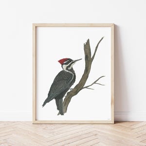 Woodpecker Watercolor Wall Art