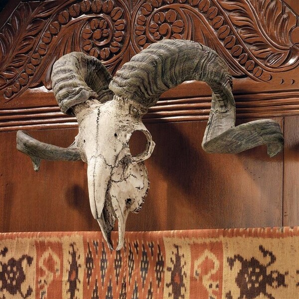 Longhorn Wall Mount - Etsy