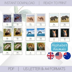 Aprenda o alfabeto dos animais para impressão | Flashcards de 3 partes da Escola Montessori | Cartões de nomenclatura para impressão | Brinquedos educativos para educação domiciliar