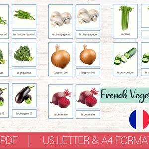Learn French with 25 Vegetables | Montessori School 3 Part Flashcards | Printable Nomenclature Cards | Homeschooling Educational Toys