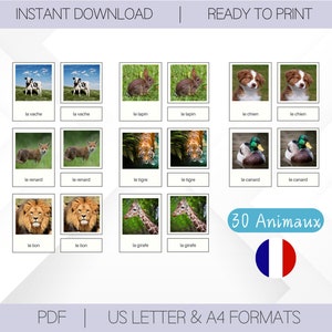 Learn French with 30 Animals | Montessori School 3 Part Flashcards | Printable Nomenclature Cards | Homeschooling Educational Toys