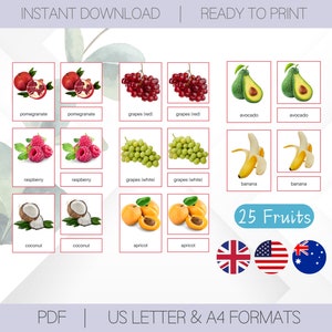 25 Fruits Cards | Montessori Printable Flashcards for Home Schooling | Montessori School 3 Part Nomenclature Cards Toys | Education Material
