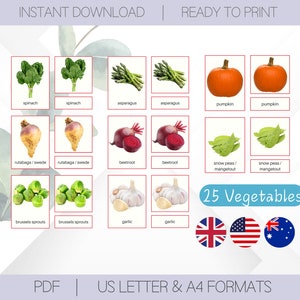25 Verduras / Escuela Montessori Tarjetas didácticas de 3 partes / Tarjetas de nomenclatura imprimibles para la educación de niños pequeños / Juguetes educativos para la educación en el hogar