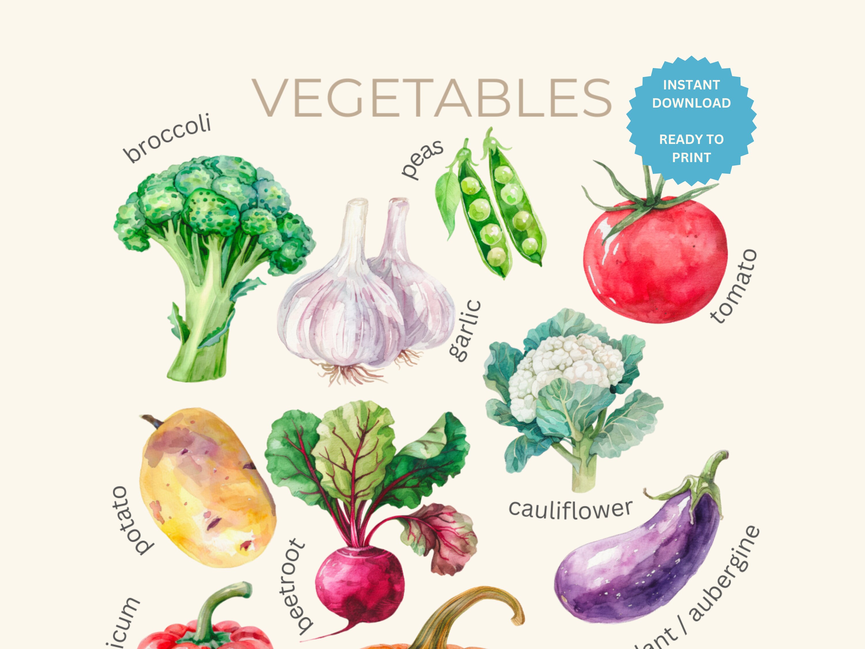 Printable Vegetables Poster for Toddlers &amp; Preschool Educational Poster ...