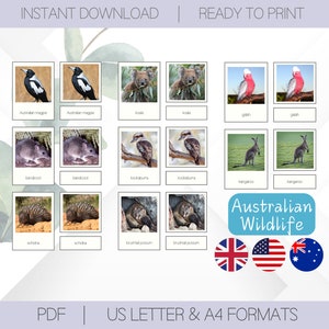25 Australian Animals Cards | Montessori School 3 Part Flashcards | Nomenclature Cards Montessori Material | Homeschooling Educational Toys
